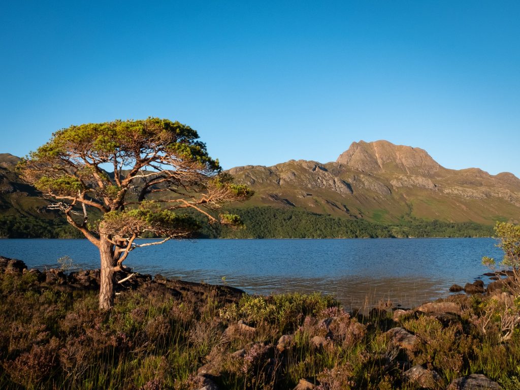 A panoramic view of Loch Maree with the mountain peak of Slioch in the background, a top attraction for those walking in Gairloch.